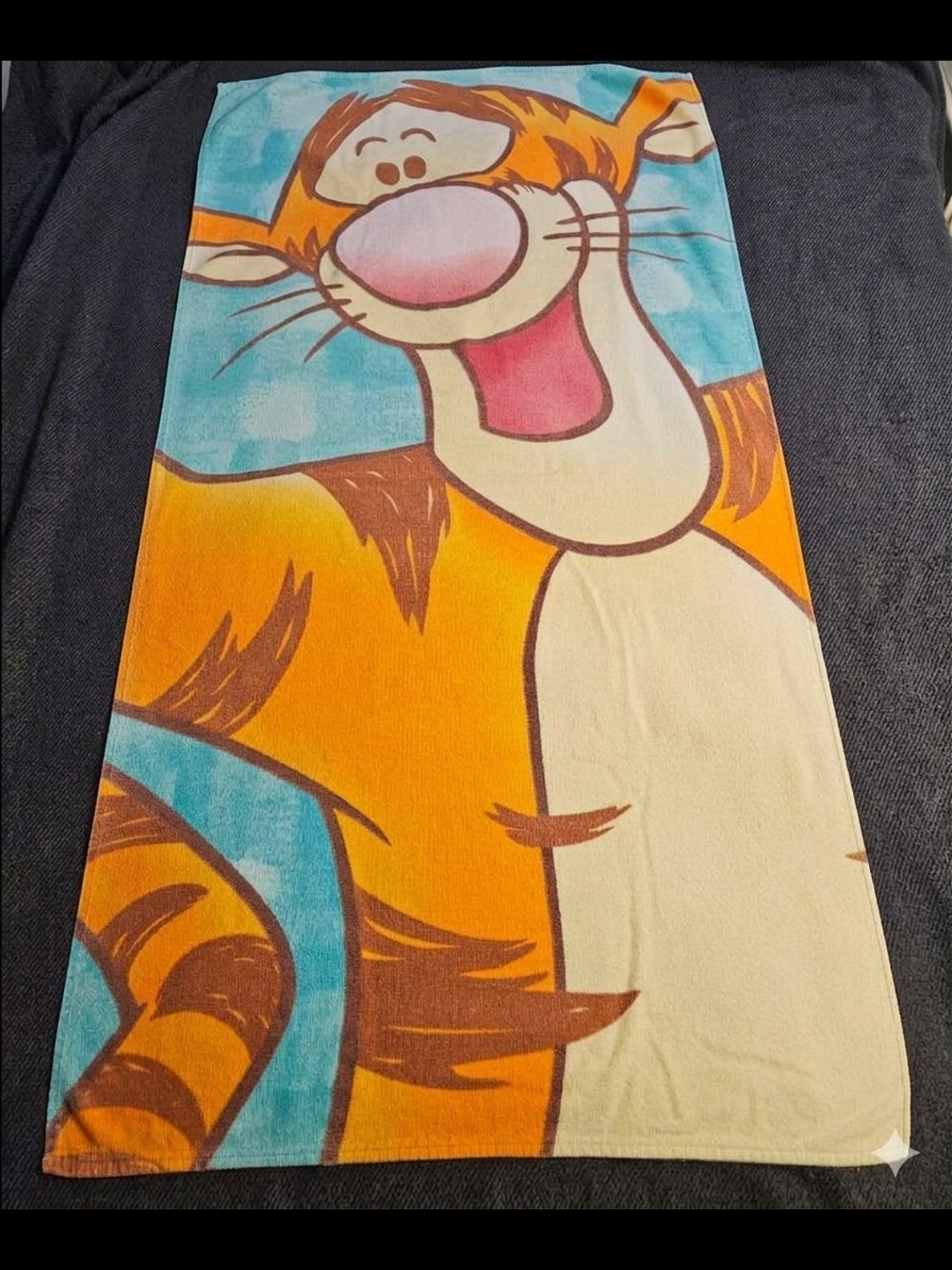 Disney Tigger Beach Towel in Orange, Blue, Winnie The Pooh